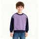 thumbnail image 1 of Sudadera sin capucha para niños, sudadera de polar de manga larga, informal, gruesa, cálida, con cuello redondo, ropa deportiva para niños, parte superior de poliéster para niños, 1 of 8