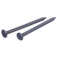 thumbnail image 1 of Common Nails, Polished Nickel, 3 In. x 10D, 40-Pk. - 461686, 1 of 1