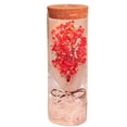 thumbnail image 1 of Real Eternal Gypsophila paniculata Bottle Lamp con control remoto LED Night Light Wishing Gift Zhivalor CPB-SSW1689-2, 1 of 5