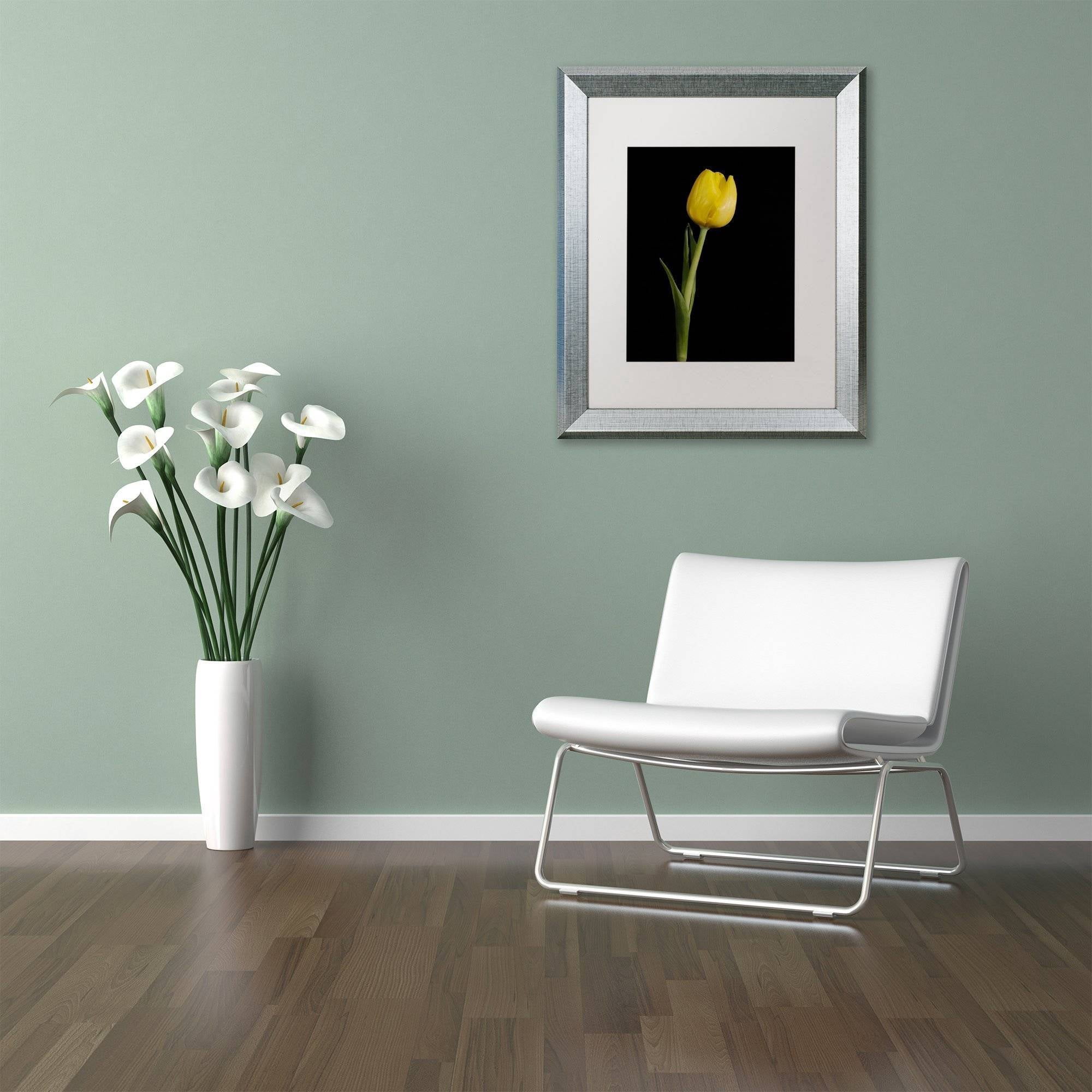 Trademark Fine Art 'Yellow Tulip Black Background 5' Canvas Art by PIPA Fine Art, White Matte, Silver Frame