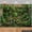 5.9x3.6FT, variant on Tropical Rainforest Backdrop Jungle Leafy Plants Mossy Stones Background Natural Green Jungle Wedding Birthday Party Decorations Banner Supplies Photo Booth Props