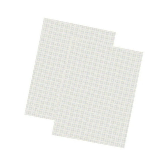 Pacon Grid Ruled Drawing Paper, White, 1/4" Quadrille Ruled, 9" x 12", 500 Sheets Per Pack, 2 Packs