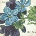 thumbnail image 2 of Wild Apple Portfolio 12x12 Gold Ornate Wood Framed with Double Matting Museum Art Print Titled - Blue Floral, 2 of 4