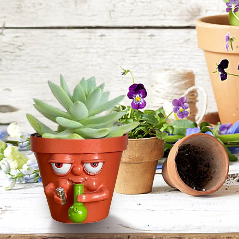 Unusual Indoor Plant Pots