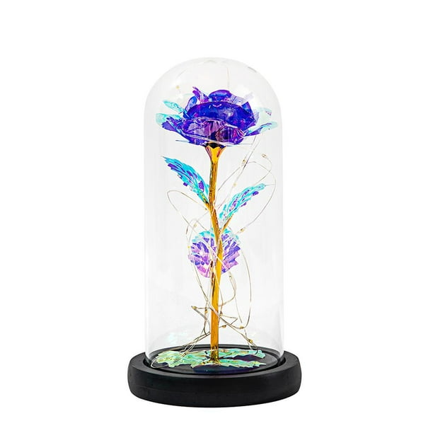 Naiovety Lámpara de flor inmortal de La Bella y La Bestia con cubierta de cristal, lámpara de decoración de flores artificiales, luz nocturna Kits de decoración para fiestas No. 4 Naiovety HA027699-04