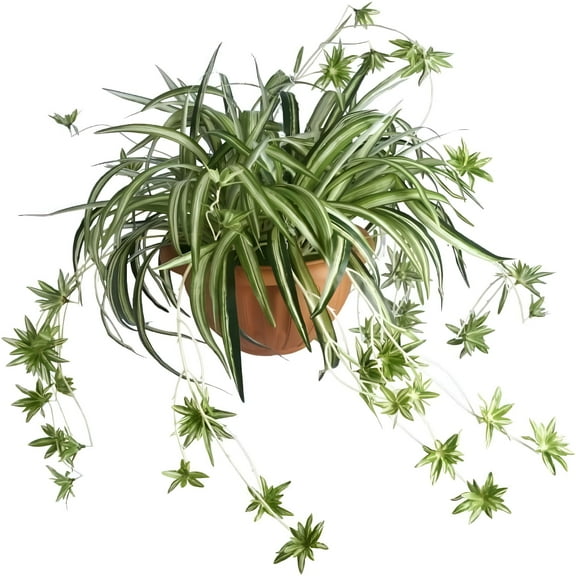 ZULAR 2 Pack Artificial Flowers Spider Plants Fake Silk Plant Faux Greenery Artificial Plants Home Garden Office Wedding Decoration (Not Include Hanging Basket)