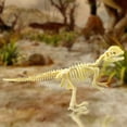 thumbnail image 5 of Happy Date 7Pcs/Set Dinosaur Fossil Skeleton Assorted Figures Dino Bones - for Science Play, Dino Sand Dig, Party Favor, Decorations and Stocking Stuffer, 5 of 8