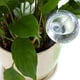 thumbnail image 2 of 15 Piezas Dispositivo de Riego AutomáTico Globos de Vacaciones Planta de Interior Maceta Bombillas Riego de JardíN Flor Riego por de Agua, 2 of 5