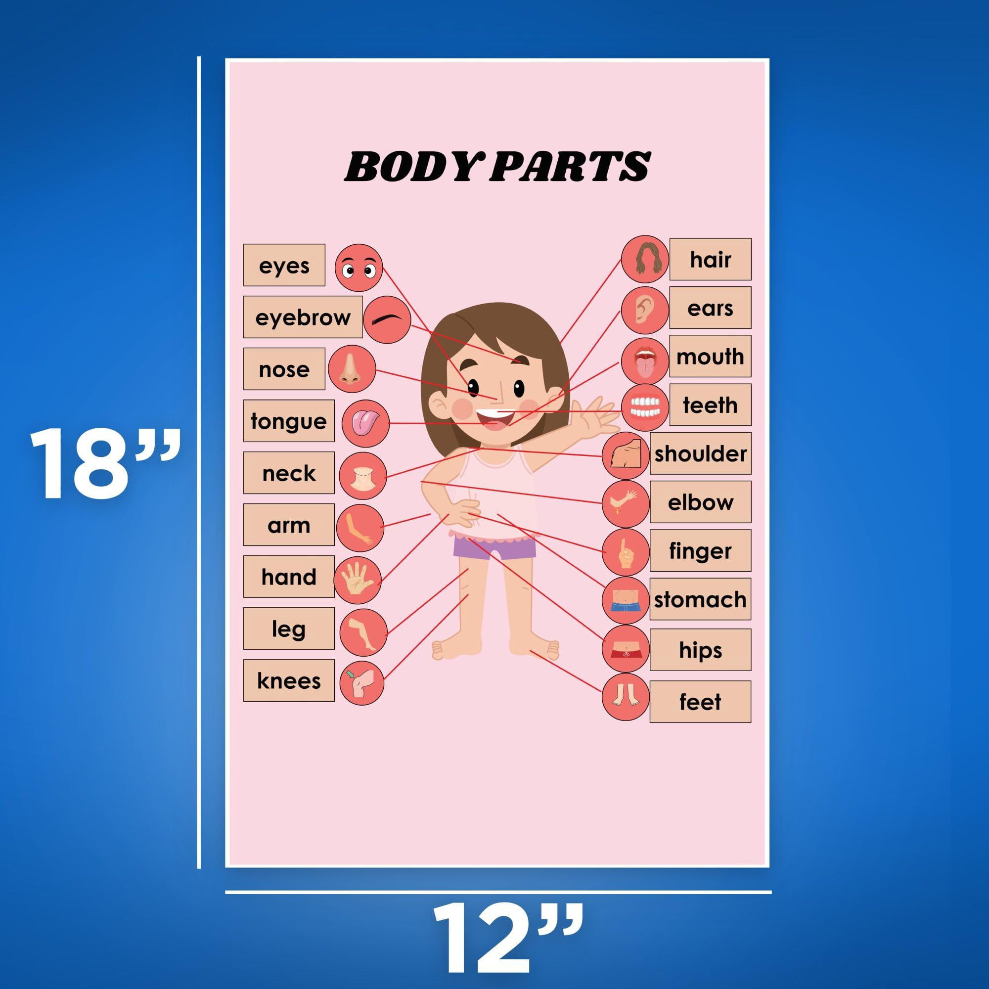 Bliss Monkey Co. Parts Of A Plant Poster - Anatomy Of A Plant - Science...