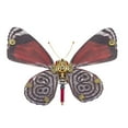 thumbnail image 4 of 3D Metal Retro Steampunk Diaethria Anna Model Kit, 150PCS+ DIY Mechanical Insect Butterfly Metal Assembly Kit, Creative Desktop Ornament Gift for Enthusiast, 4 of 9