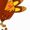 turkey on white back, variant on Thanksgiving Socks for Women Men Colorful Autumn Maple Pumpkin Turkey Patterns Socks for Holiday or Everyday Wear