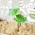thumbnail image 4 of Coofit Artificial Succulent 2-Head Lotus Unpotted Artificial Plant Fake Succulent, 4 of 6