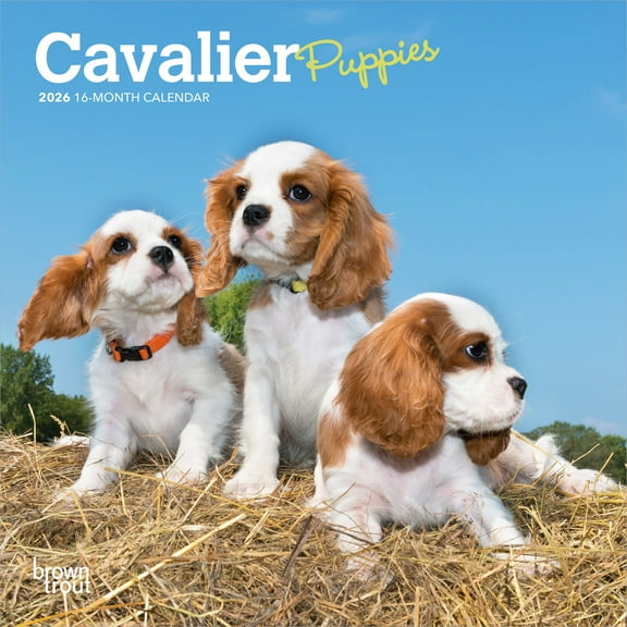 Cavalier King Charles Spaniel Puppies | 2026 7x14" (Hanging) Mini Wall Calendar