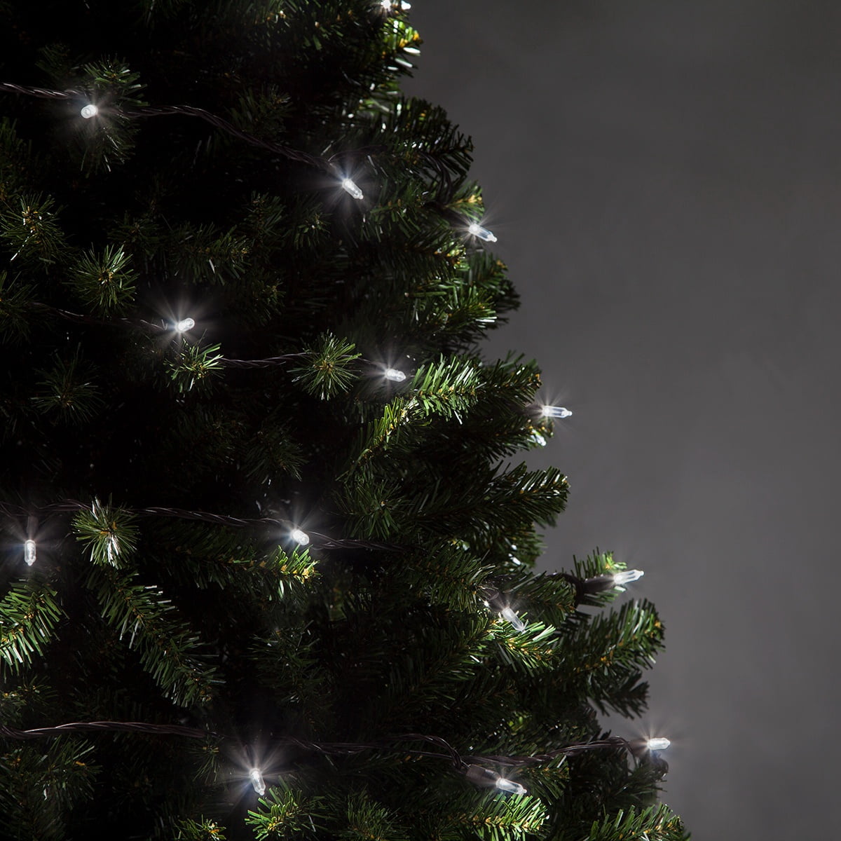 Wintergreen Lighting T5 LED Mini Lights Brown Wire Christmas Lights, Brown Wired Clear Mini Lights, LED Christmas Lights, 50 Lights