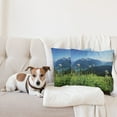 thumbnail image 4 of Ambesonne Mountain Throw Pillow Cover 2 Pack, Diablo Lake Dandelions, 24", Sky Blue and Green, 4 of 5