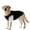 Black, variant on Large Size 2-In-1 Breathable Mesh Dog Shirt, Shedding Resistant, Lightweight & Soft Pet Apparel, Ideal For Outdoor Activities, Daily Wear & Home Use For Medium To Large Sized Pet