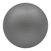 Champion Sports Iron Shot Put, Silver, 4K