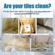 thumbnail image 5 of Clearance Tile Cleaner Removes Years Of Dirt And Grime G, 5 of 5