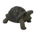 thumbnail image 3 of Hi-Line Gift 7 in Grey-Brown Tortoise Garden Statue, Incredibly Realistic Details, 3 of 5