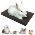 thumbnail image 1 of Almohadillas abrasivas para mascotas pequeñas BNOSDM Rabbit Black, 1 of 5