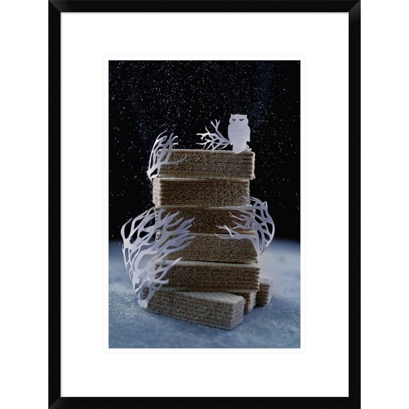 Global Gallery Dina Belenko 'Snowy Owl (Powdered Sugar)' Framed Wall Art