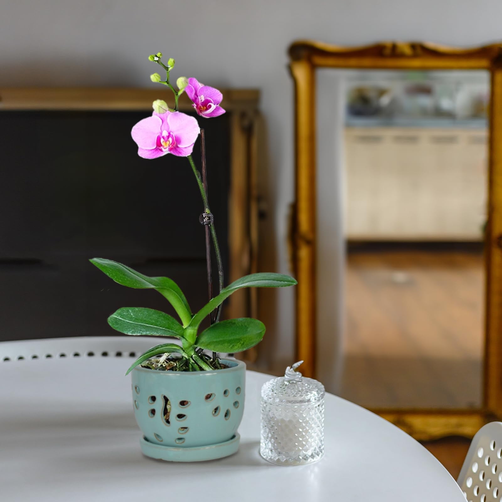 W&W Orchid Pot, Round, Blue Ceramic, 5.8 x 5.8 x 4.45 Inches, with Air Vents