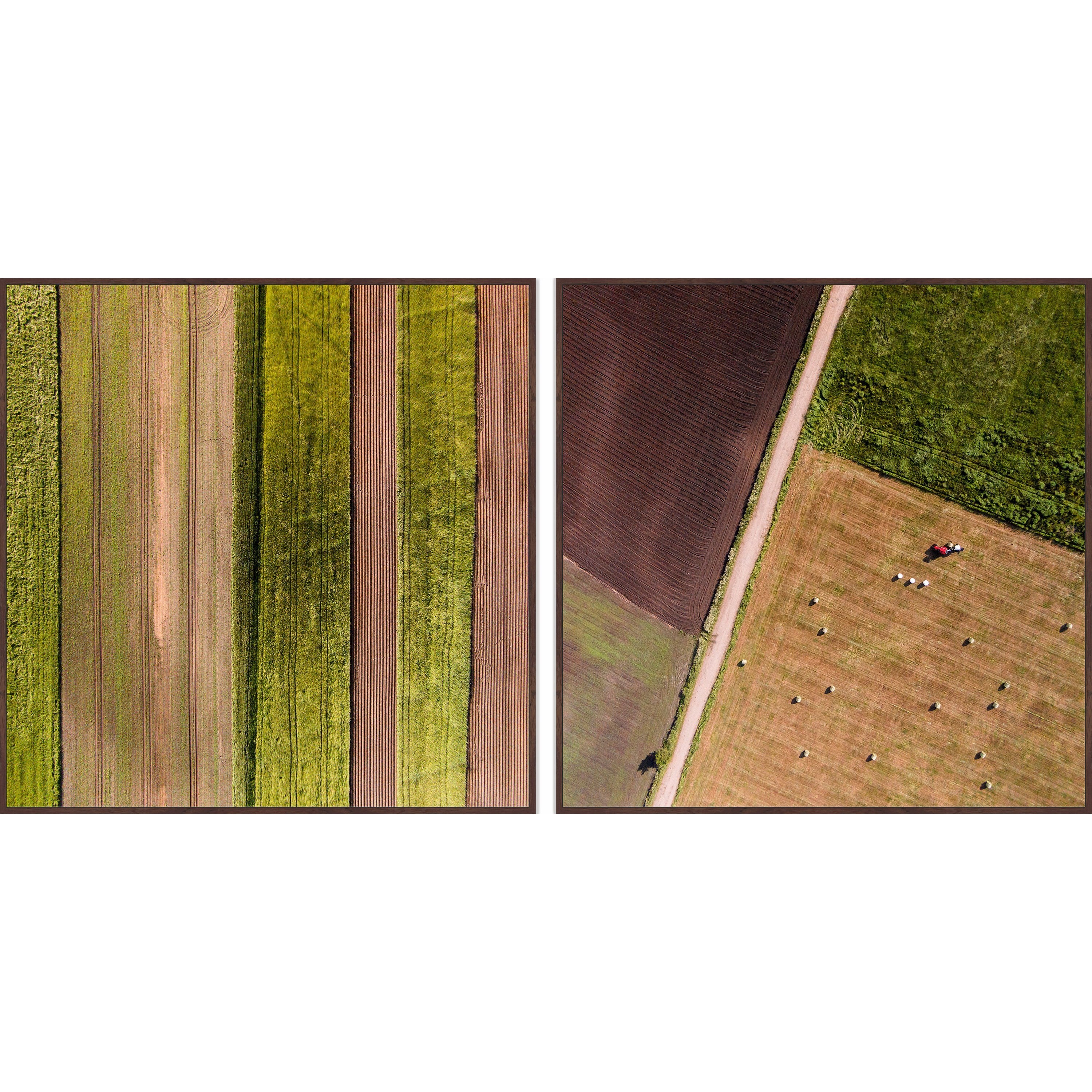 Farm Rows Diptych