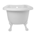 thumbnail image 2 of Stratford 57 Inch Acrylic Classic Clawfoot Tub - No Faucet Drillings - Lion Paw Feet, 2 of 2