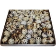thumbnail image 4 of PureQuail Freeze-Dried Organic Egg Topper for Dogs or Cats, One Dozen, 4 of 5