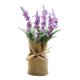 thumbnail image 1 of Flores Artificiales Lavanda En Maceta 26cm Ramo En Púrpura Flores Artificiales Falsas Para Boda, , Novia, Decoración De Oficina Lavanda púrpura BLESIY Plantas decorativas en macetas, 1 of 8
