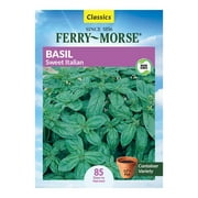 Ferry-Morse 200MG Basil Sweet Italian Herb Plant Seeds Full Sun