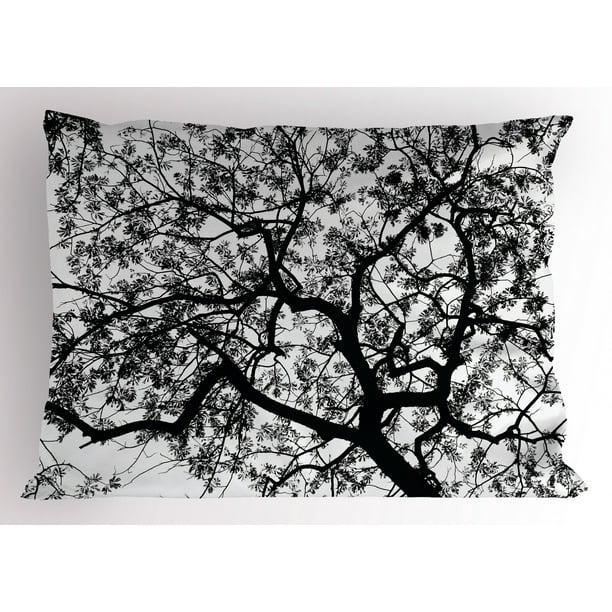 Forest Pillow Sham Forest Tree Branches Modern Design Spooky Horror Movie Themed Artwork Print Decorative Standard Queen Size Printed Pillowcase 30 X Inches Black And White By Ambesonne Walmart Com Walmart Com Forest Pillow Sham Forest Tree Branches Modern Design Spooky Horror Movie Themed Artwork Print Decorative Standard Queen Size Printed Pillowcase 30 X Inches Black And White By Ambesonne Walmart Com Walmart Com