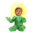 thumbnail image 1 of Flower Costume for Infants, 1 of 2