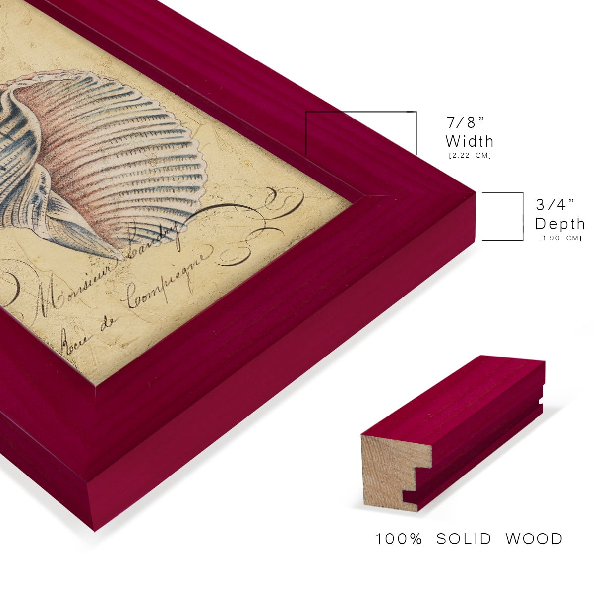 Seashell Ephemera V - Framed Print w/glass - Cherry Red