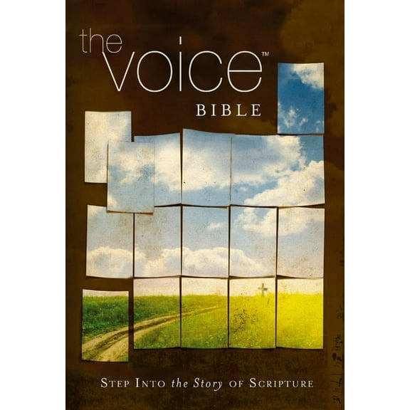 Voice Bible-VC: Step Into the Story of Scripture (Hardcover)