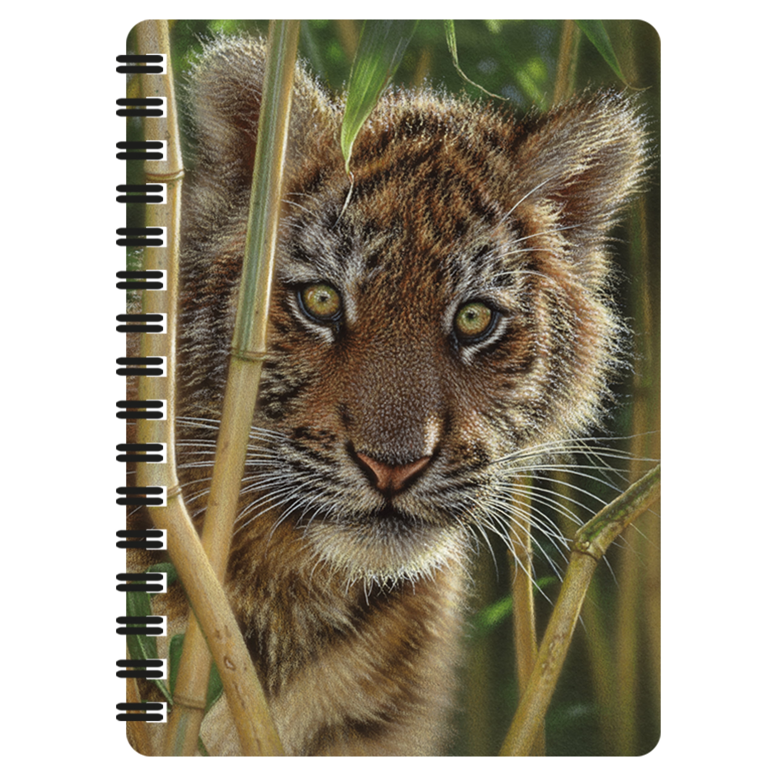 3D LiveLife Jotter - Discovery from Deluxebase. Lenticular 3D Tiger 6x4  Spiral Notebook with plain recycled paper pages. Artwork licensed from  renowned artist Collin Bogle 
