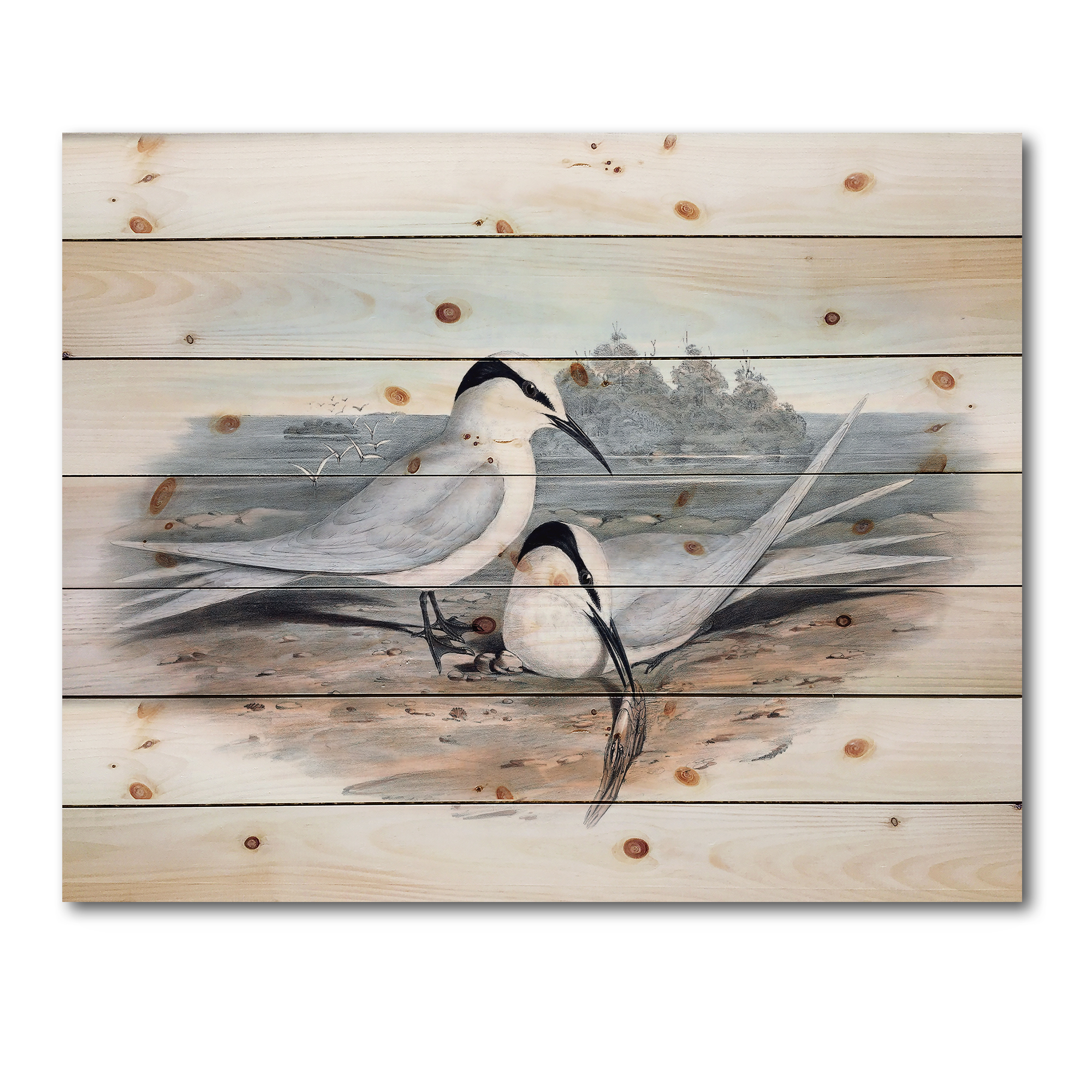 Designart 'Ancient Birds In The Wild IX' Traditional Print on Natural Pine Wood