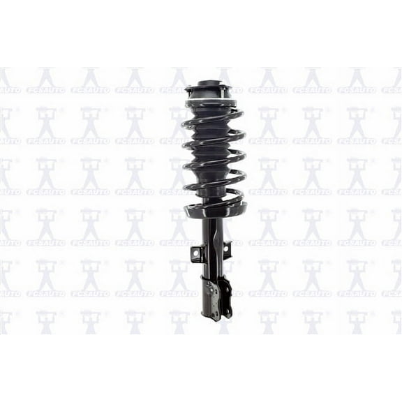 Suspension Strut and Coil Spring Assembly