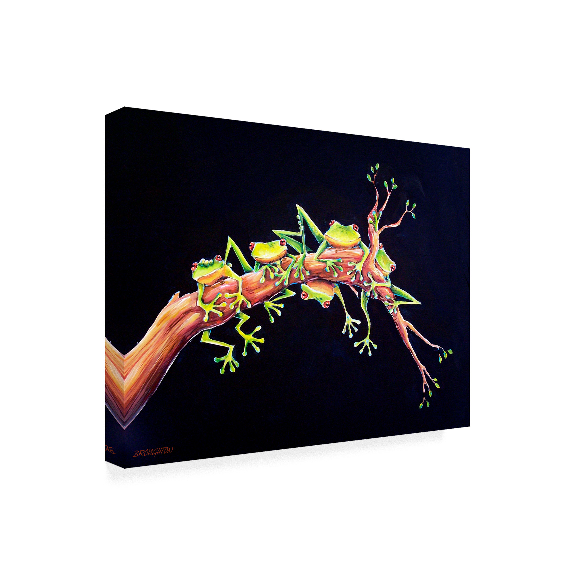 Trademark Fine Art 'Frog Just hanging' Canvas Art by Deborah Broughton