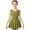 hwj# Green251, variant on Lightweight Girls Kids Teen Ballet Leotard Dress Sleeveless Crewneck Backless Solid Color Slim Fit Ruffled Chiffon Summer Elegant Style Dancewear For Young Dresses,Black,4-5 Years