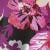 Berry Floral Overlay