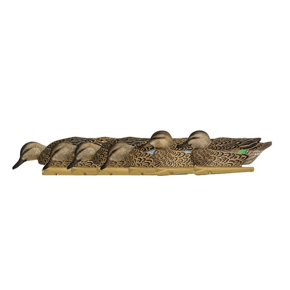 Avian X Topflight Early Season Teal with True to Life Postures, 6 Pack