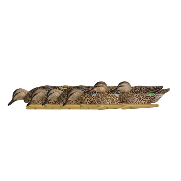 Avian X Topflight Saison Précoce Turquoise avec Postures Réalistes Fidèles à la Vie, Lot de 6