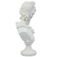 thumbnail image 2 of Design Toscano PD72520 Apollo Belvédère Statue en Buste, 12,5 Pouces, Blanc, 2 of 5