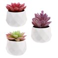 thumbnail image 2 of 3 Pcs Mini Simulation Succulent Potted Plant Ornament Potted Bonsai Decoration, 2 of 7