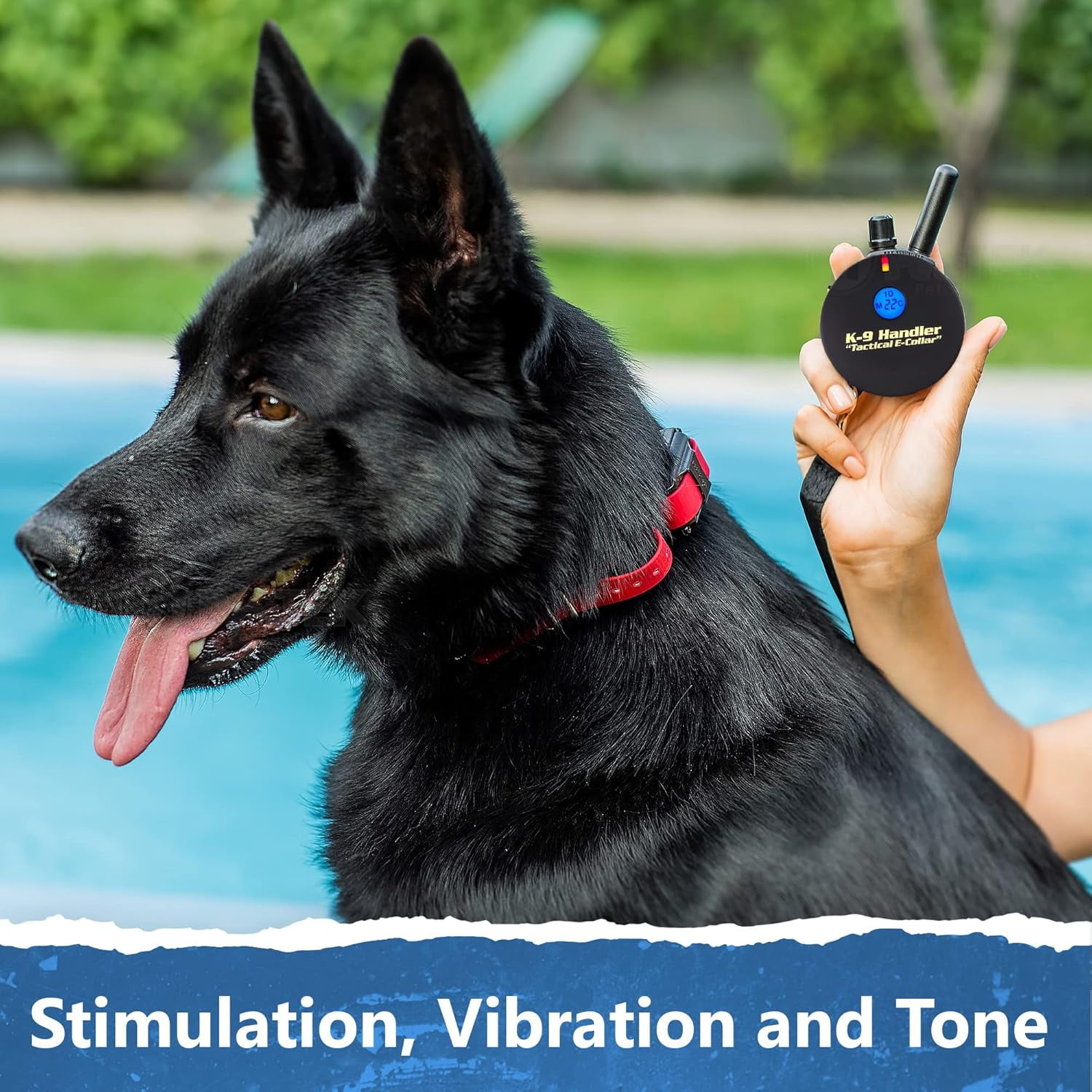 Educator K9-402 Two Dogs K9 Handler Professional E-Collar Training Collar with Remote - Up to 3/4 Mile Range, Waterproof, Rechargeable, 100 Stimulation Levels, Vibration, Tone, 33-Inch Bungee Collar