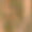 Dark Yellow Beige, variant on DMC Mouline 117-699 Six-Strand Embroidery Thread, Green, 8.7-Yards
