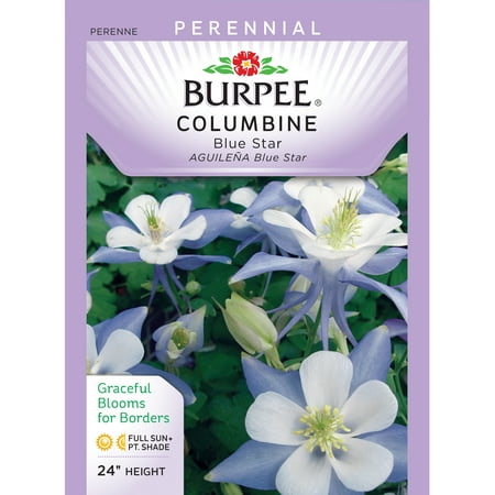 Burpee-Columbine, Blue Star Seed Packet
