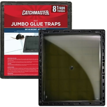 Catchmaster Jumbo Rat & Mouse Glue Traps - Indoor - For Rodents, Insects - 8 Count