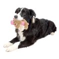 thumbnail image 4 of Set Doble de Juego Acogedor Pet Life con Peluche para Morder y Chirriar para Perro, 4 of 4